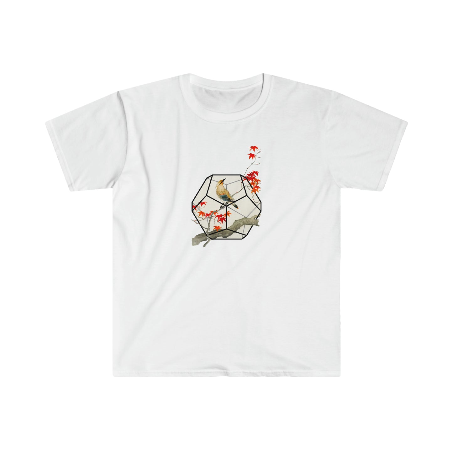 Song bird on Autumn maple D12